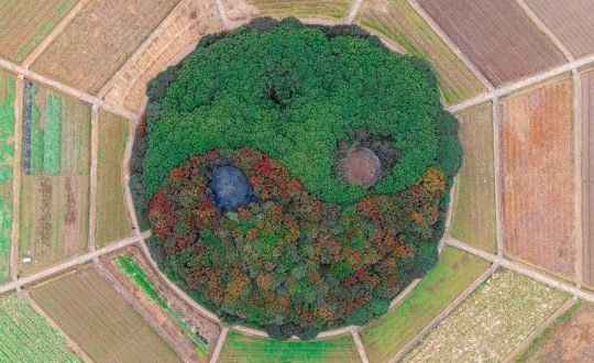 pexels-å²³-è¶-6840604